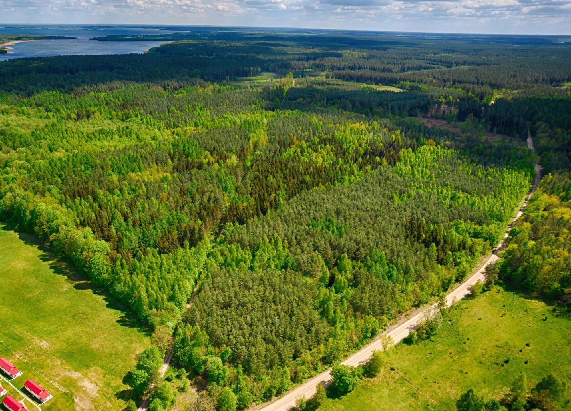 Osada Wilaneska Domki Mikolajki Mazury Exterior photo